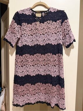 dee elle Pink and Navy Lace Striped Mini Dress